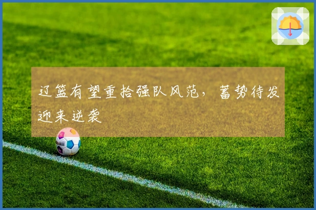 辽篮有望重拾强队风范,蓄势待发迎来逆袭